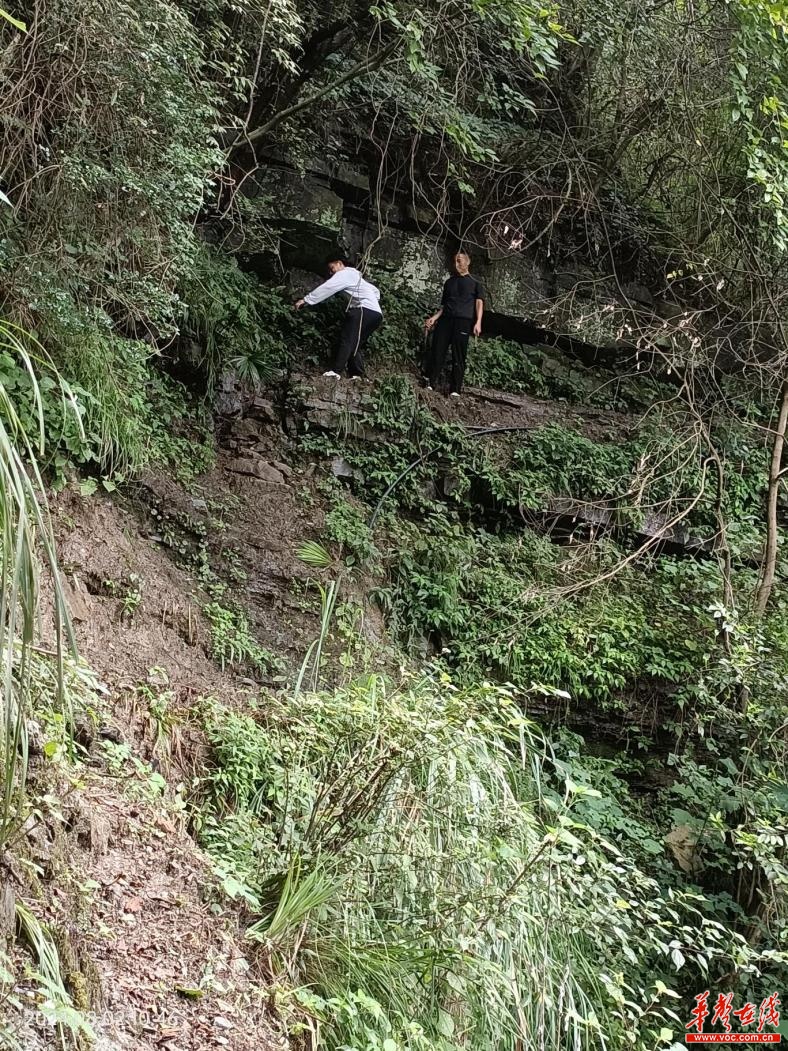 砂坝镇新项目，地区发展的强大引擎驱动力