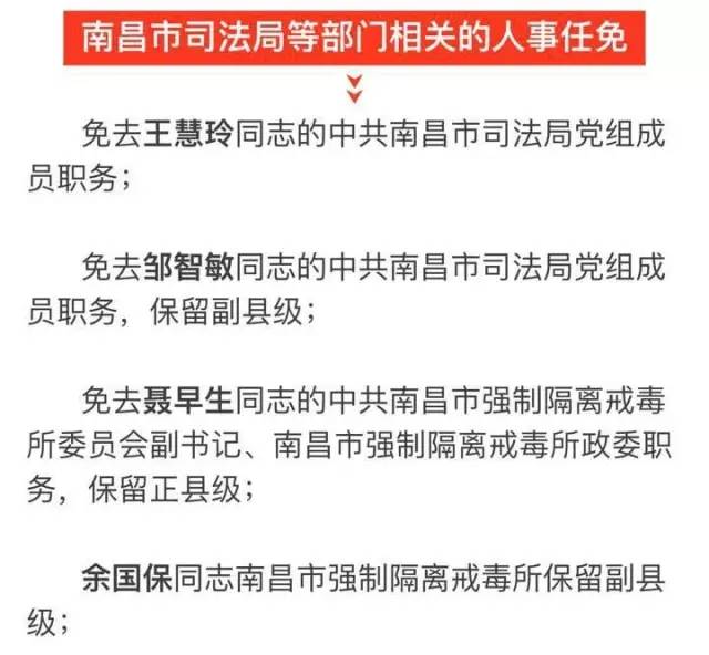 杨浦区科技局人事任命，引领科技创新与发展的强大力量