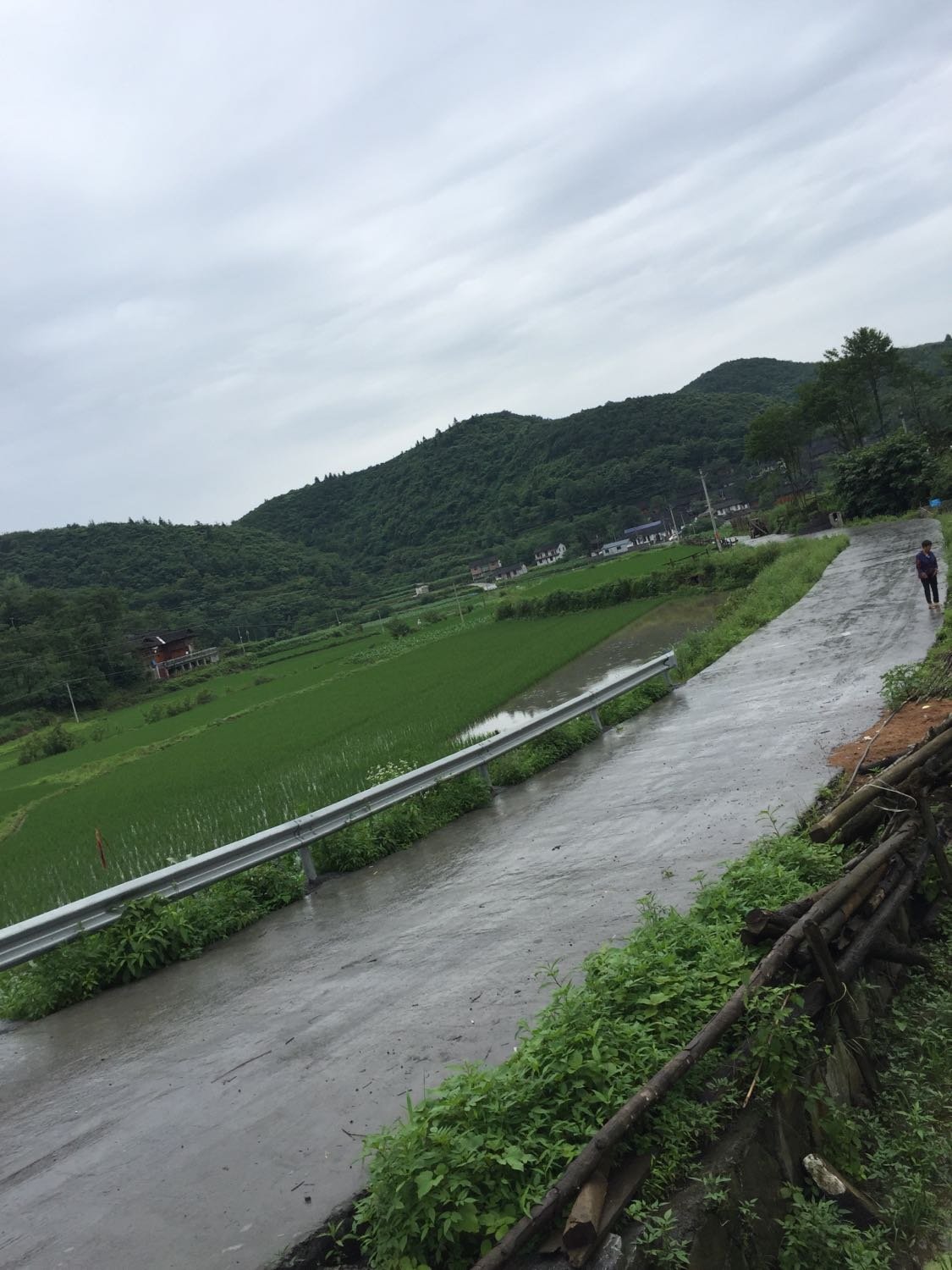 上新沟村委会天气预报更新通知