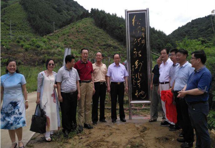 松溪县文化广电体育和旅游局发展规划概览