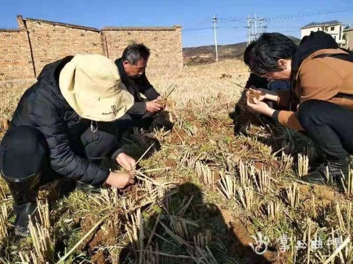 盘江乡天气预报更新通知