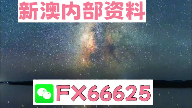 新澳天天彩免费资料大全特色,经典解析说明_Prime33.801