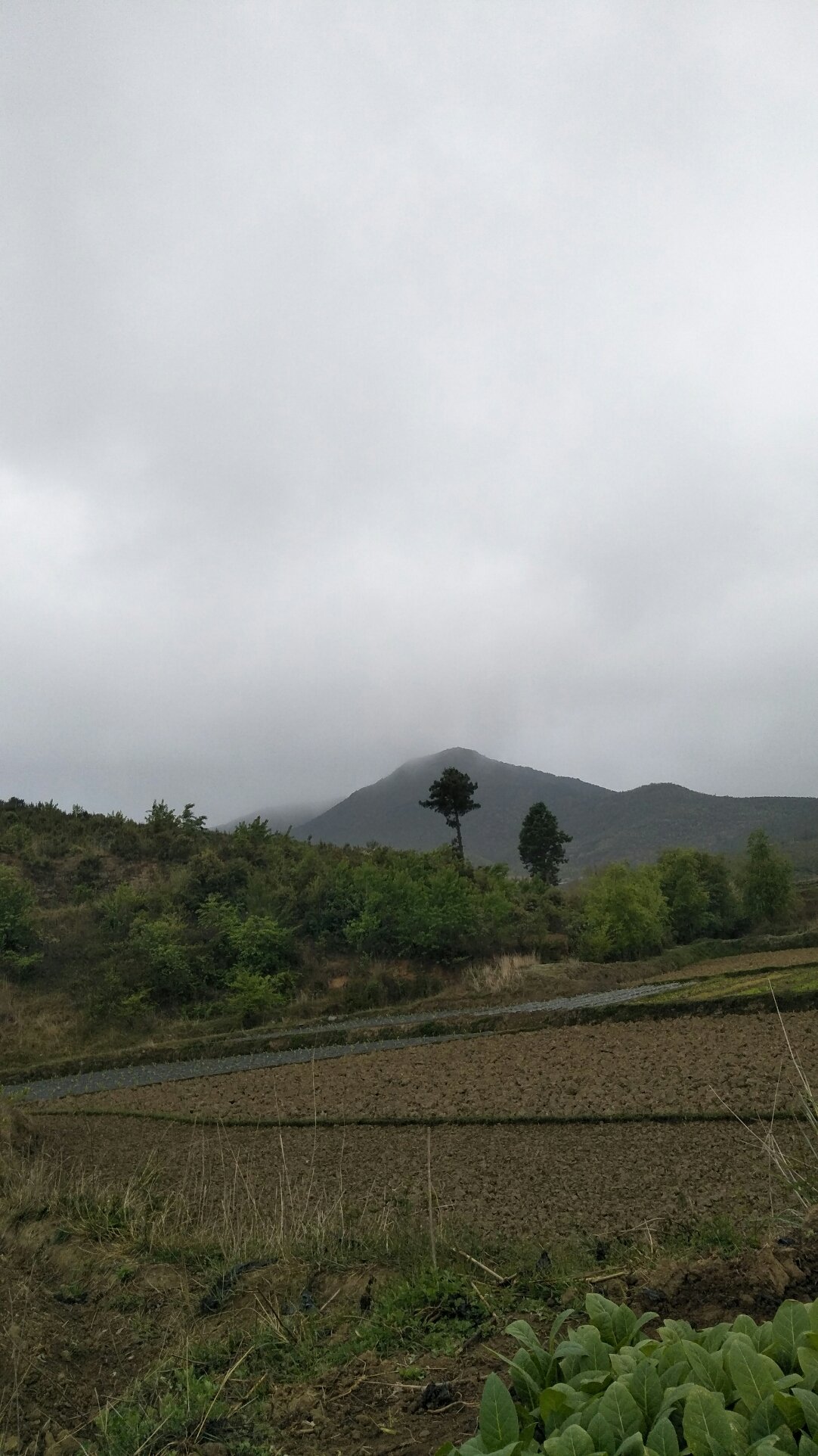 油松岭乡天气预报更新通知