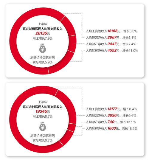 嘉兴市城市社会经济调查队最新项目概览与洞察