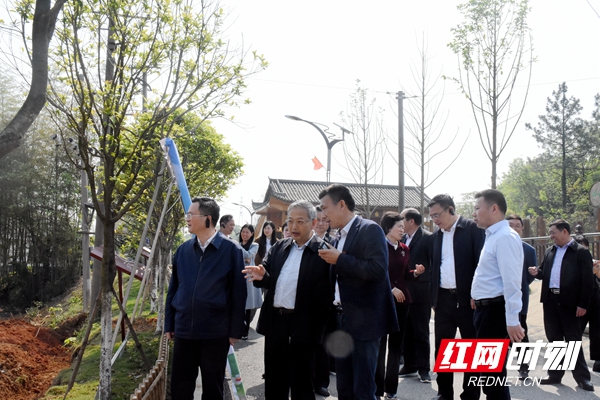 田河村民委员会最新项目概览与进展