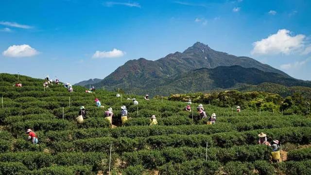 太平林场最新天气预报及其影响分析