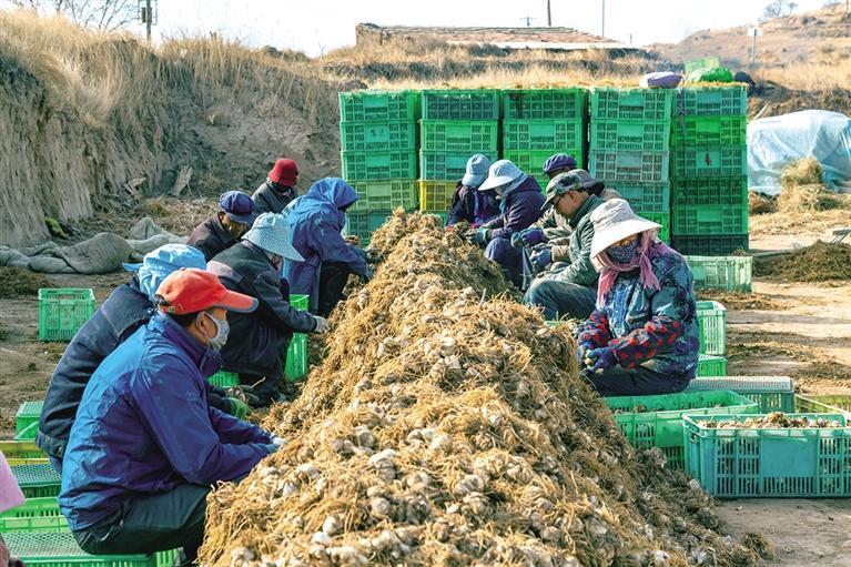 上花岔乡新闻速递，最新报道汇总