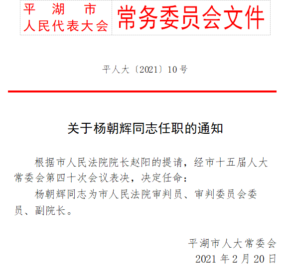 灵城镇人事新任命，开启发展新篇章