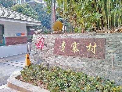 青寨村委会最新动态，乡村振兴积极助力社会发展