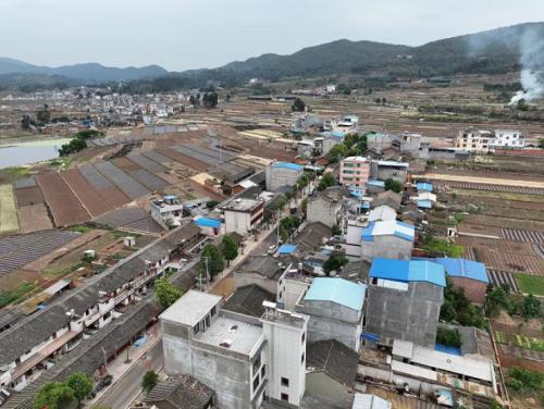 旧关村委会天气预报与应对建议