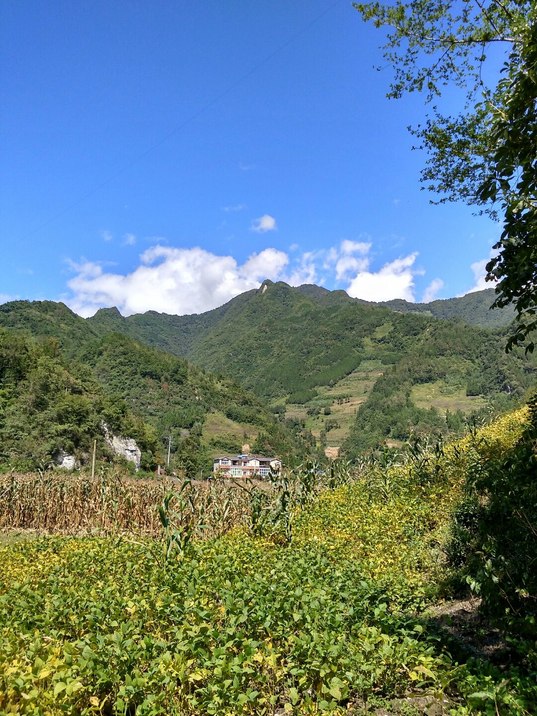 王家山镇天气预报更新通知