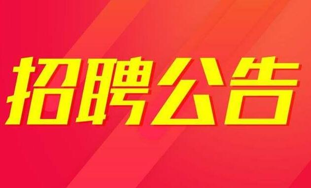 社步镇最新招聘信息全面解析