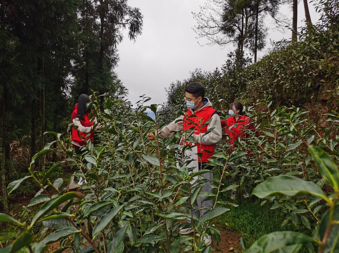 柘荣县防疫检疫站启动新项目，筑牢防疫屏障保障民众健康安全