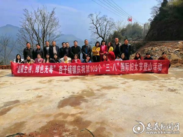 杏子铺镇新项目，引领地区发展的强大动力源泉