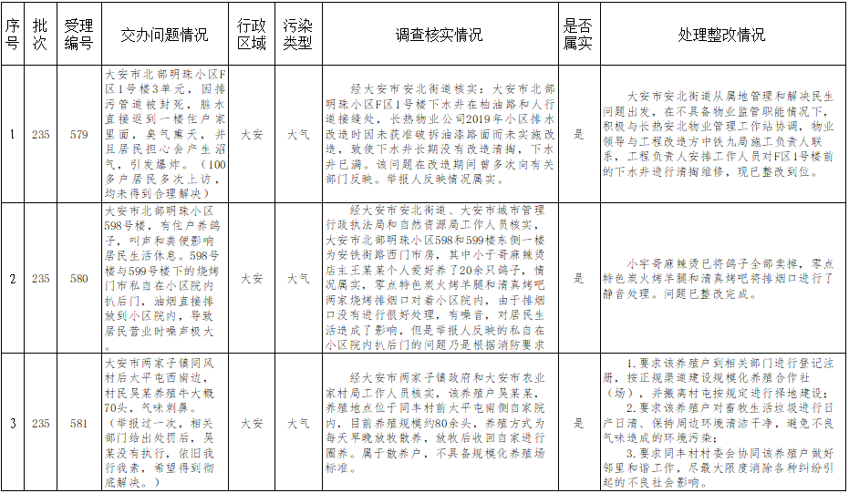 大安区人民政府办公室最新发展规划概览