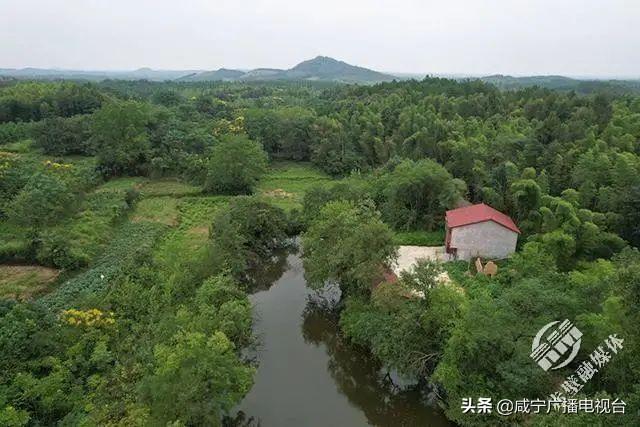 赤壁市农业农村局发展规划，塑造乡村新面貌，推动农业高质量发展