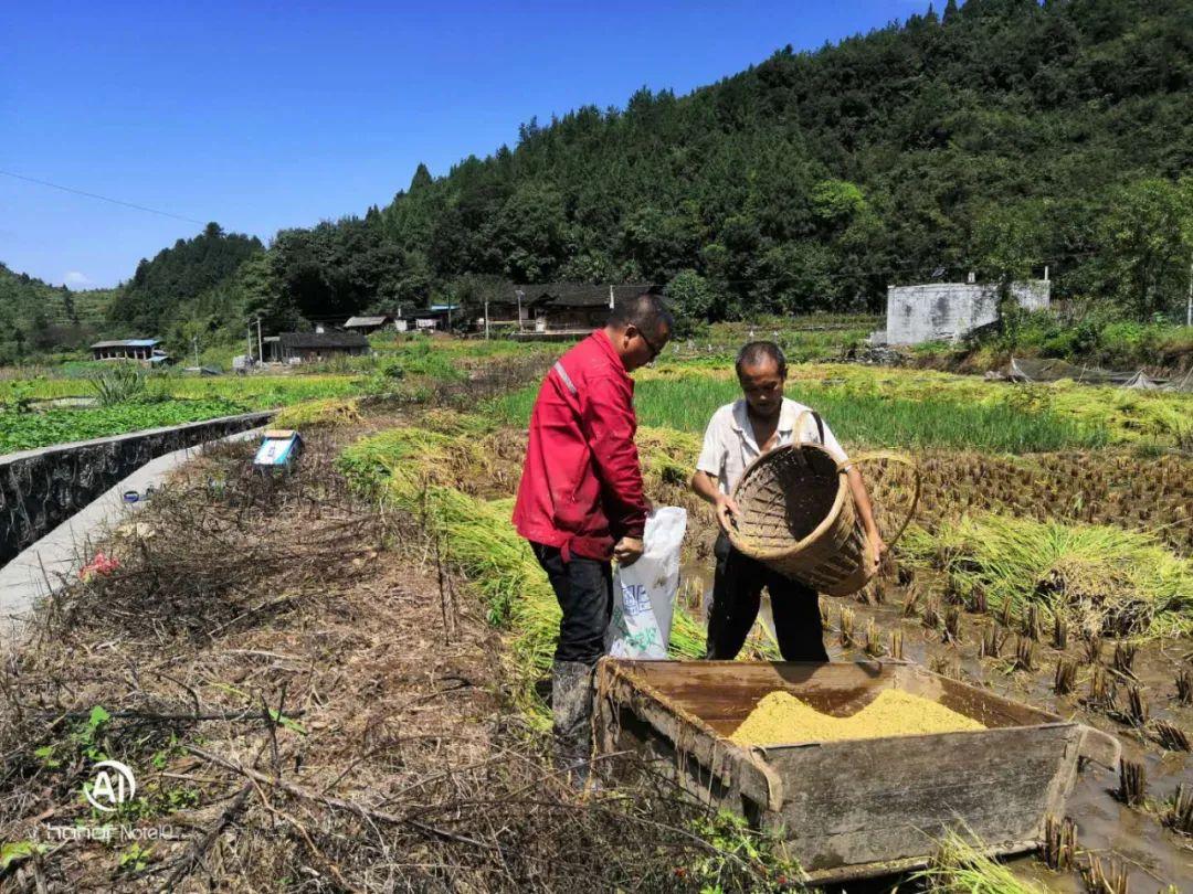 丰年村街道天气预报更新通知