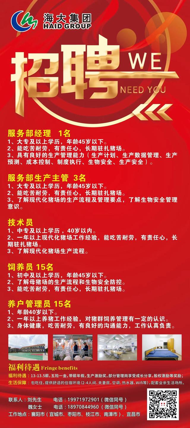 鹤壁市发展和改革委员会最新招聘启事概览