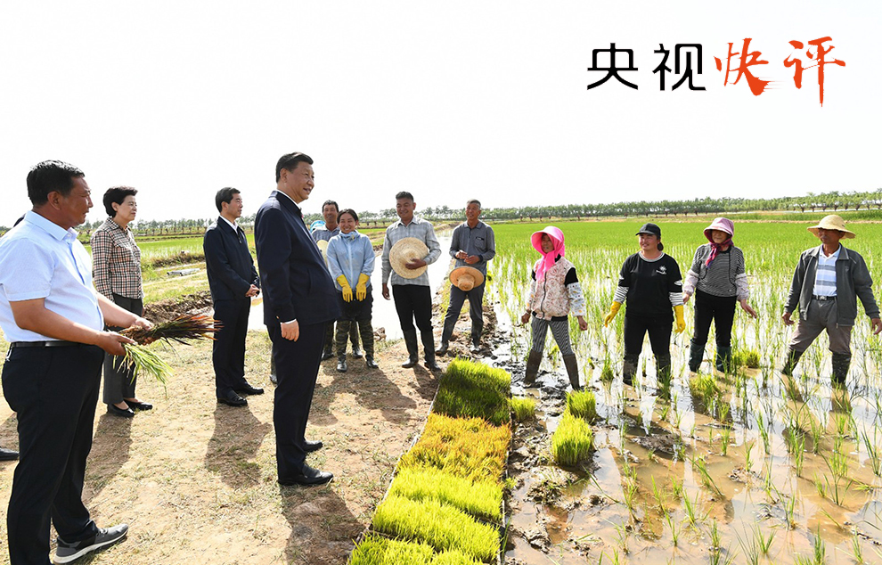 红沙滩村民委员会最新新闻概览，动态与进展