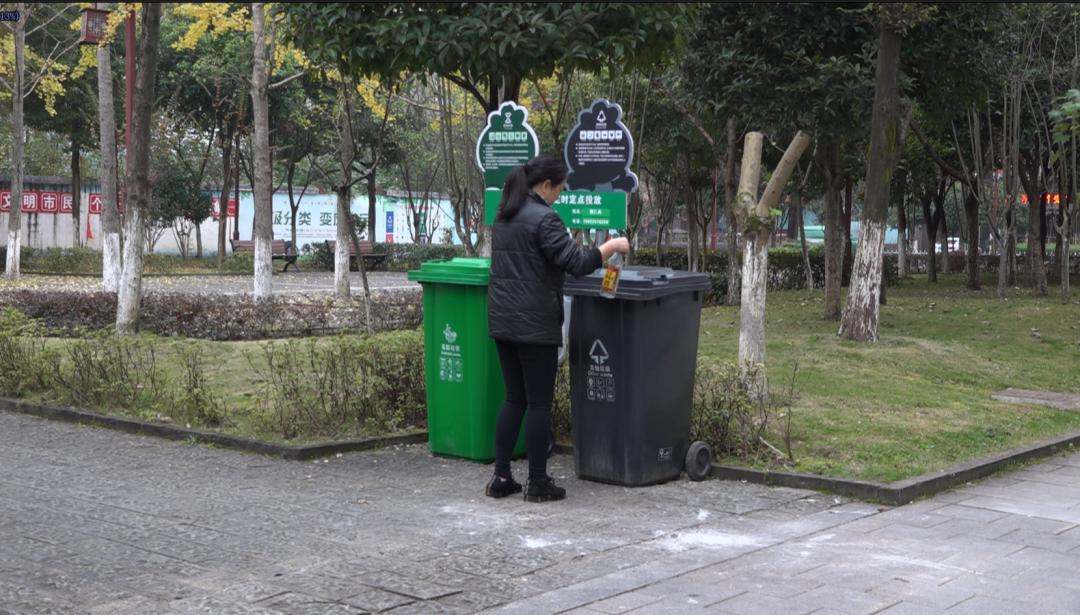 中和街道未来发展规划蓝图，塑造现代都市新面貌