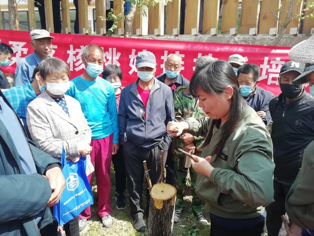 怀柔区自然资源和规划局领导团队全新亮相，未来工作展望与规划