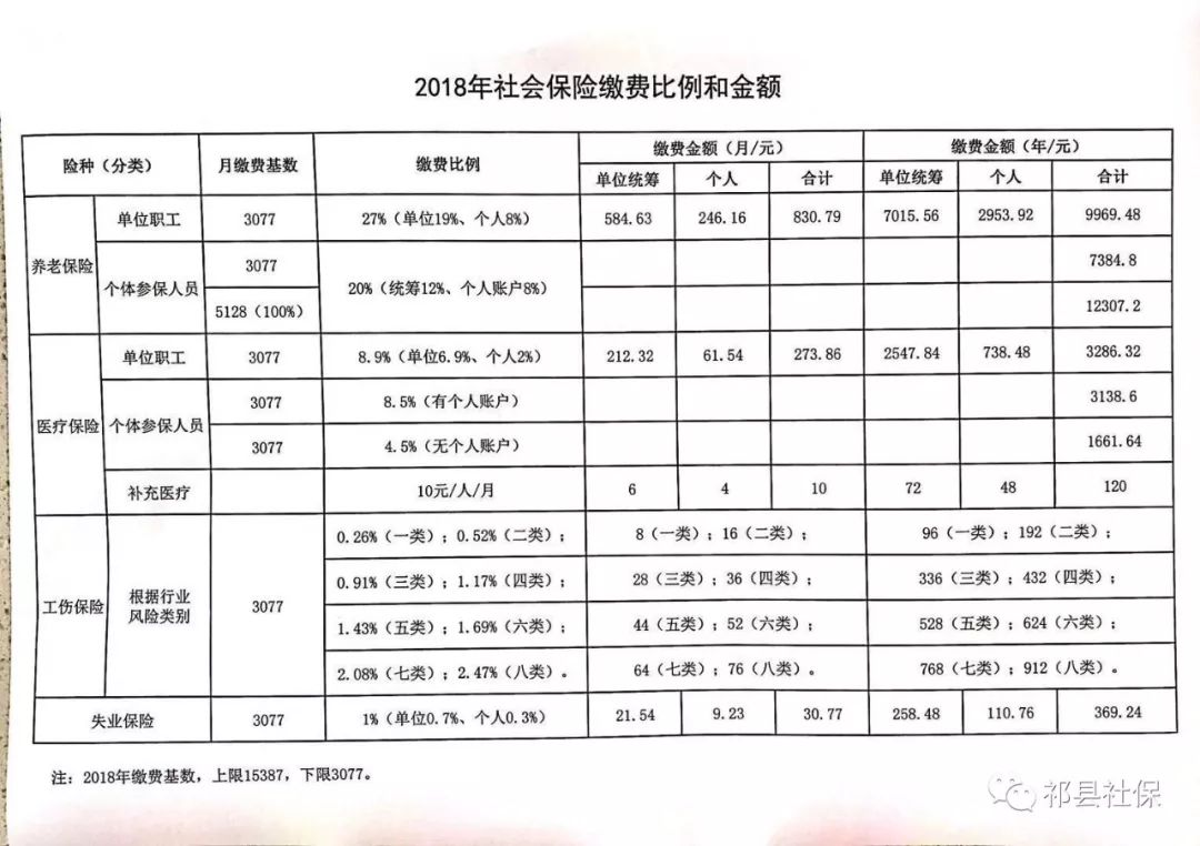 化州市级托养福利事业单位最新项目概览，全面解读服务与设施