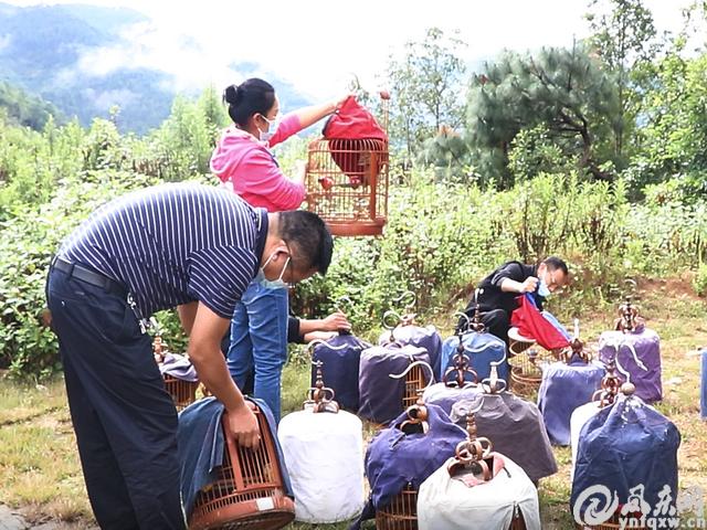 凤庆县文化广电体育和旅游局领导团队引领地方文化事业迈向新高度