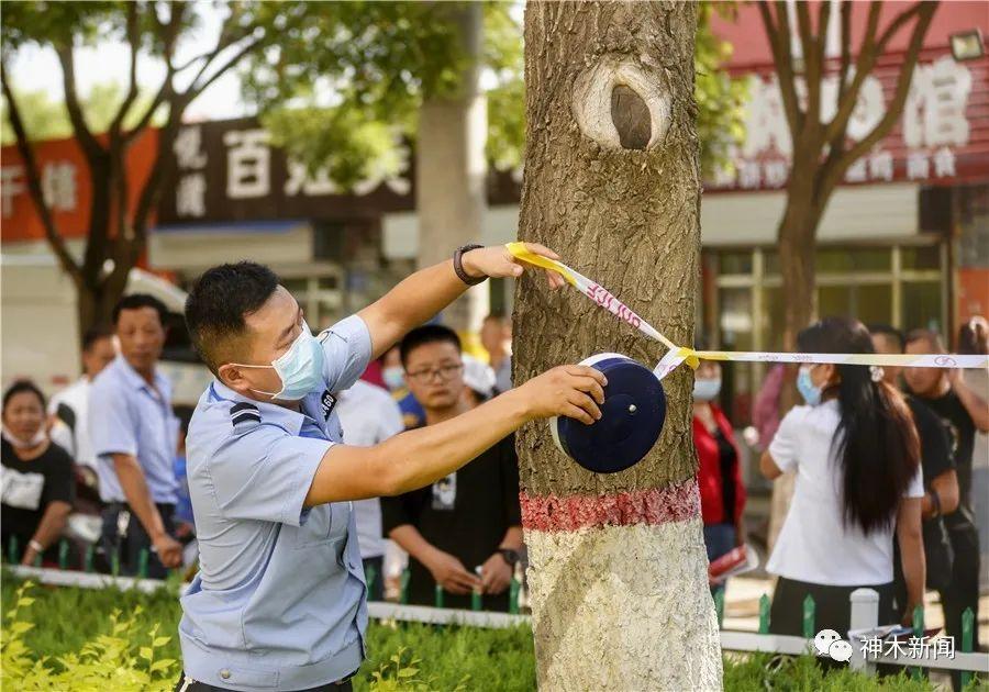 神木县特殊教育事业单位领导团队最新概述