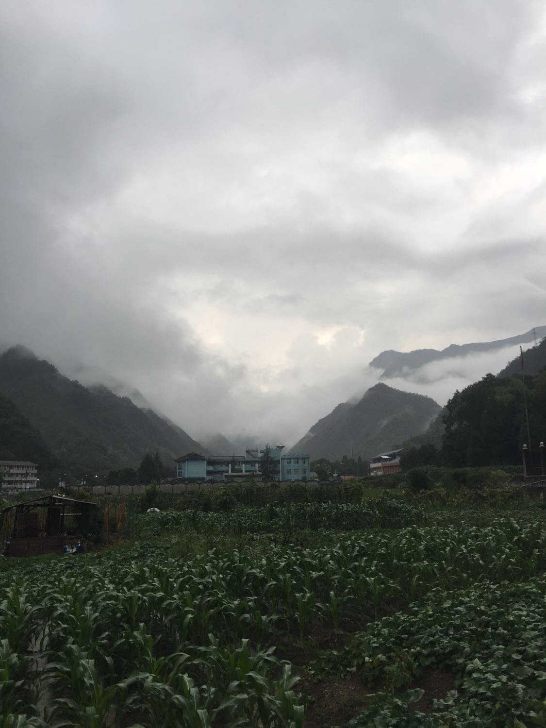 清水村天气预报更新通知