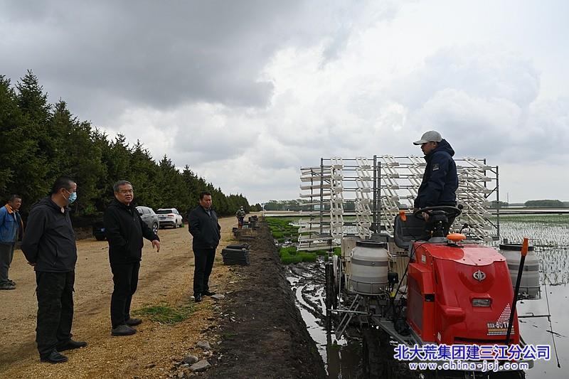 五里江农场新项目引领农业现代化新篇章