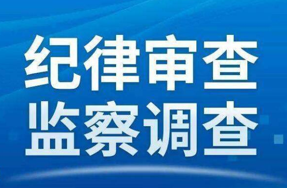 西峡县审计局招聘信息全面解析