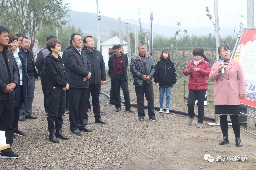 范村乡未来蓝图发展规划揭秘，塑造乡村新面貌