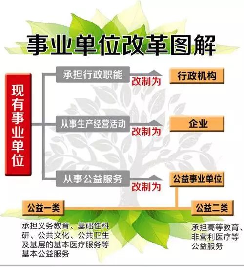 奈曼旗康复事业单位人事任命动态解析