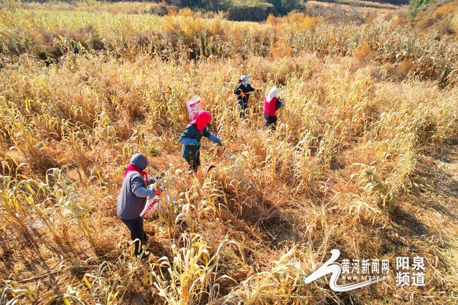 山西省阳泉市盂县孙家庄镇交通新闻最新概览