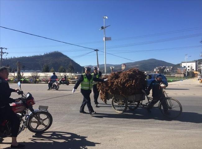 玉溪市市联动中心最新动态报道