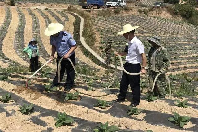 高仓村委会推动乡村交通发展，乡村振兴再添新动力