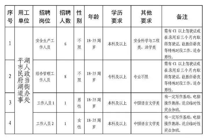 民主街最新招聘信息全面解析