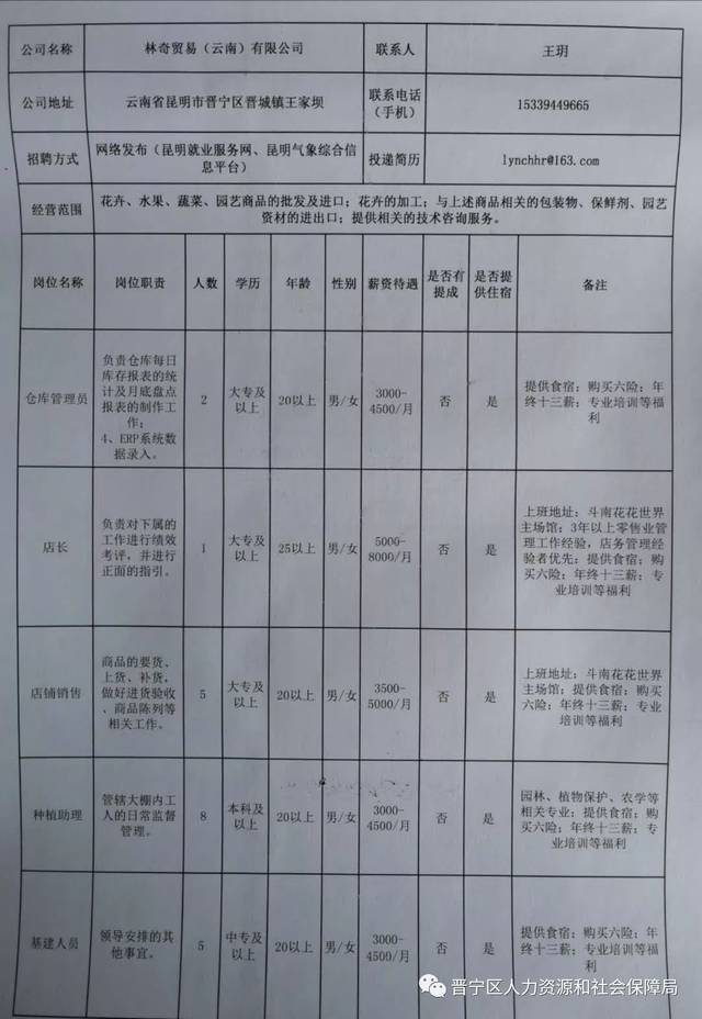 滇源、阿子营与罗雄街道招聘动态及就业市场深度分析