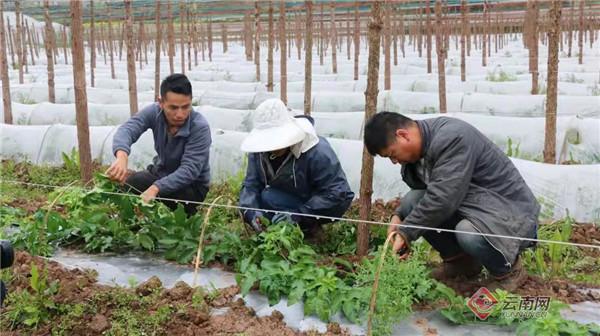 红河哈尼族彝族自治州市扶贫开发领导小组办公室人事任命揭晓，深远影响的最新领导层变动